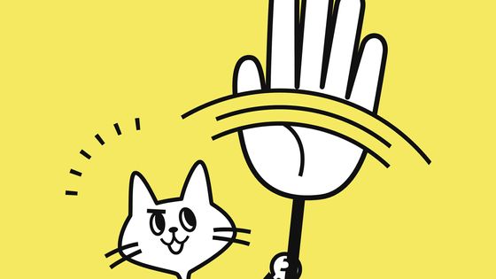 Chat tenant un signe de stop ©Corbis - alashi