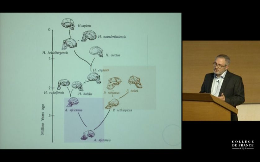 Jean-Jacques Hublin présente au Collège de France, le rameau des hominines qui a produit une grande variété de formes•