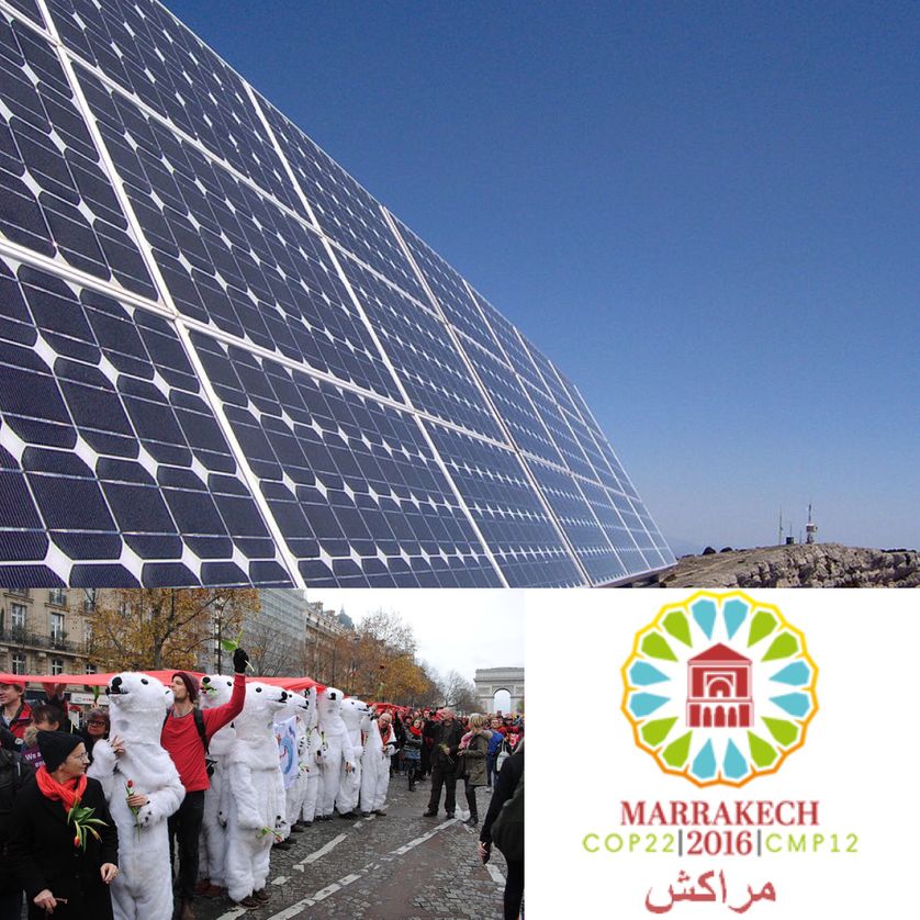 Energie solaire, Espagne, Armée d'ours polaires, COP 21 à Paris, la COP 22 au Maroc
