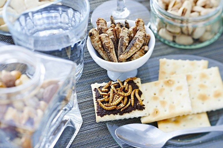 Bientôt des vers et des crickets à l'apéro ?