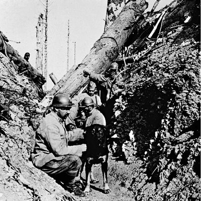 Première guerre mondiale