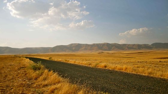 Une route en Anatolie orientale - Ezgi Esma Kürklü.