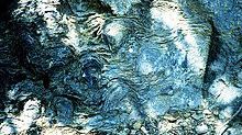 Stromatolites du précambrien, dans la formation de Siyeh. En 2002, William Schopf a affirmé que ces formations étaient âgées de 3,5 milliards d'années, elles seraient alors les plus anciennes traces de vie sur Terre. - Creative Commons