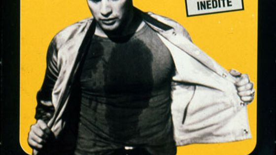 Marlon Brando et le film Un tramway nommé désir