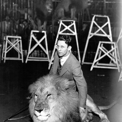 Le dompteur de lions