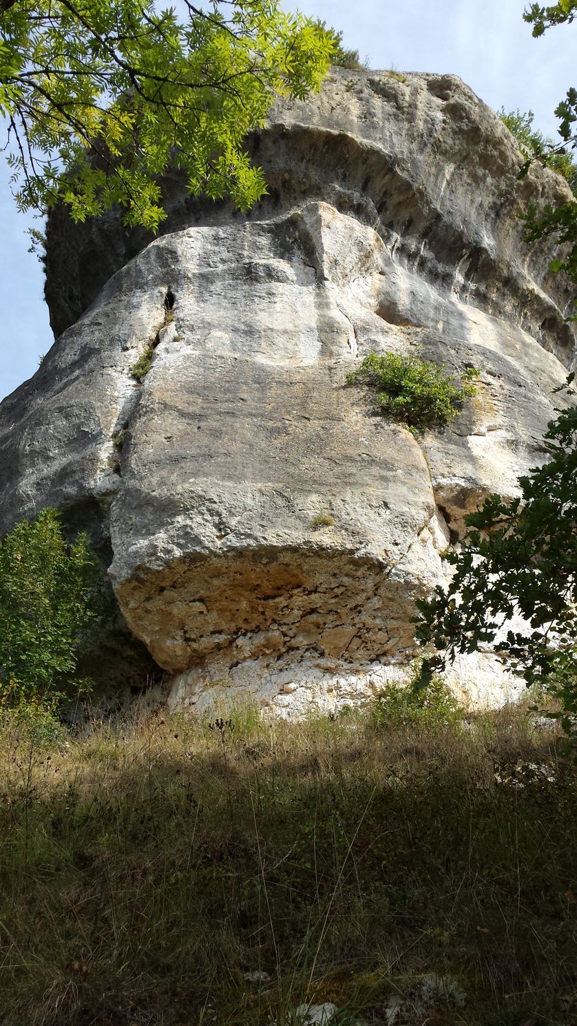 Falaise de Fond-de-Gaume