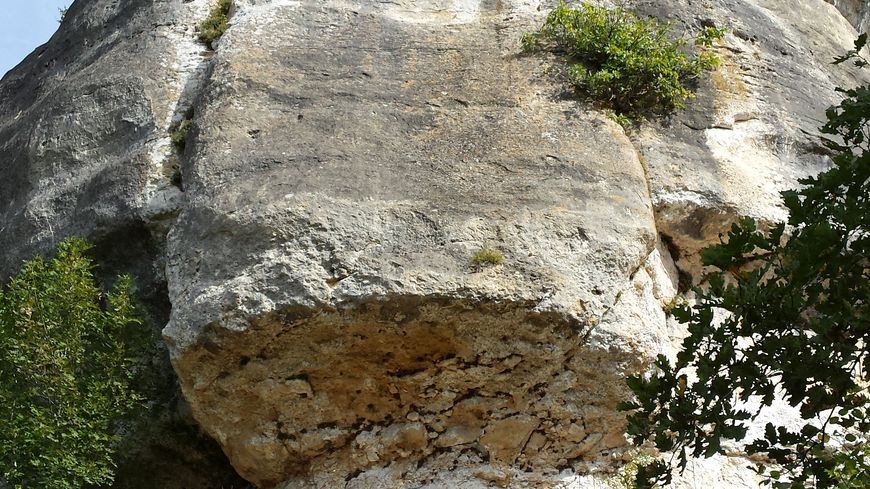 Falaise de Fond-de-Gaume