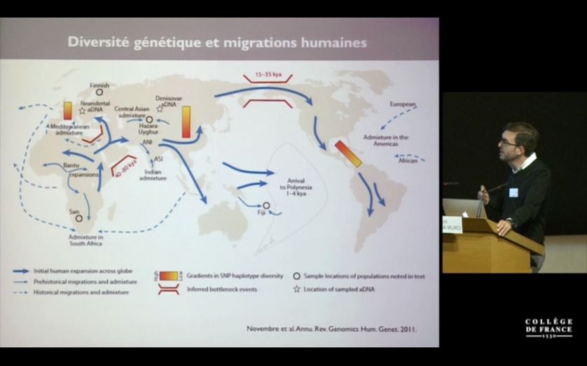 Lluis Quintana Murci explique les différentes grandes vagues de migrations de l'espèce humaine