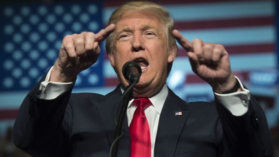 Donald Trump a été élu le 8 novembre 2016 et devient le 45e président des Etats-Unis. ©AFP - Don Emmert