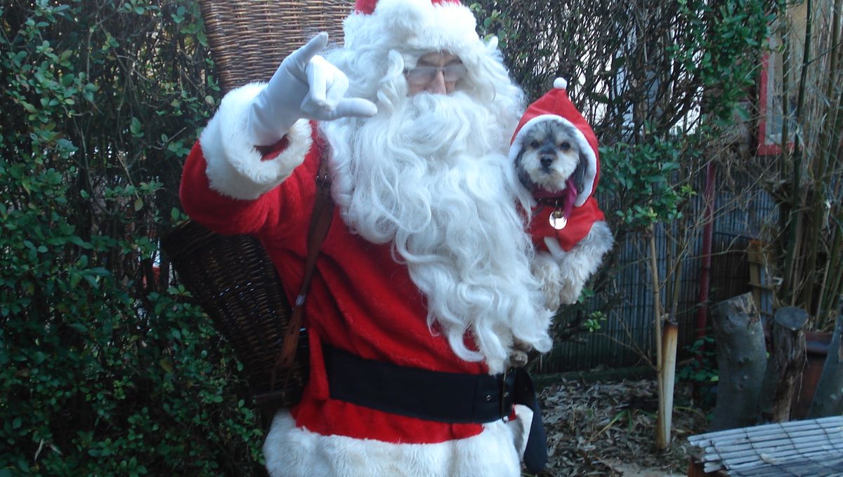 Le Pere Noel A Domicile Pour Vos Fetes Un Dijonnais Offre Ses Services