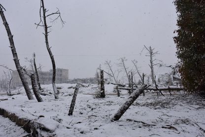 Alep : le pouvoir sans limite et sa violence dévorent tout, comme les sauterelles ... Alep : le pouvoir sans limite et sa violence dévorent tout, comme les sauterelles ...