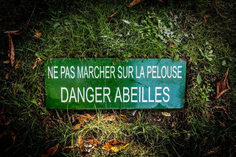 Pancarte d'information et de prévention sur les piqûres d'abeilles