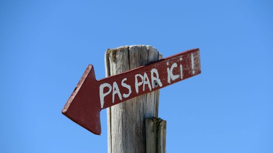 En Bretagne....! ©Maxppp - Frank May
