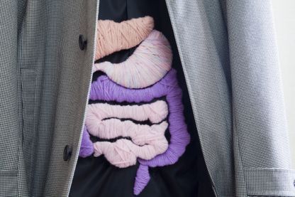 L'intestin notre deuxième cerveau L'intestin notre deuxième cerveau