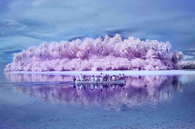 The Island of the Colorblind