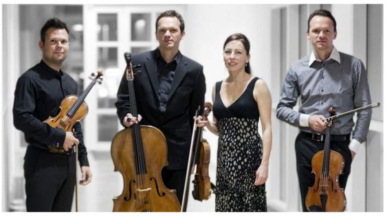 Casal Quartett © SÜDWEST PRESSE Ulm Neue Pressegesellschaft mbH & Co. KG