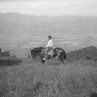 Jack London dans son ranch de la « Vallée de la Lune ». 1906.