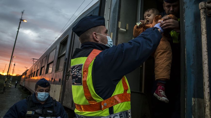 Un policier hongrois expulse migrants et réfugiés à la frontière croate, octobre 2015