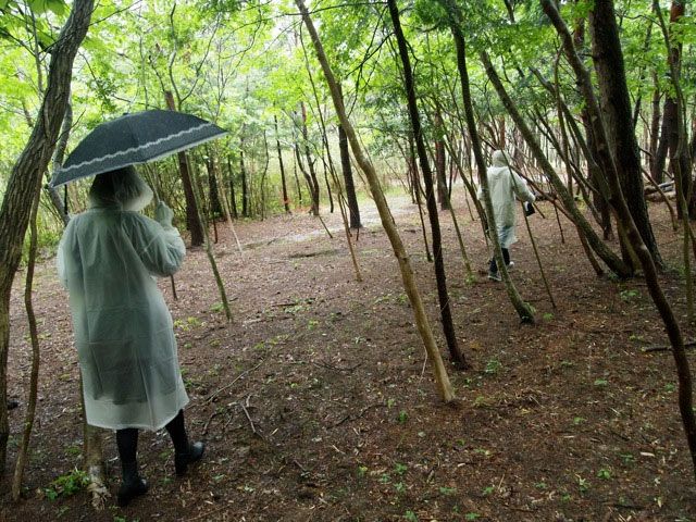 Namie, forêt Sakai, zone d'exclusion, Fukushima 2016. (2,5 à 12,2 μSv/h )