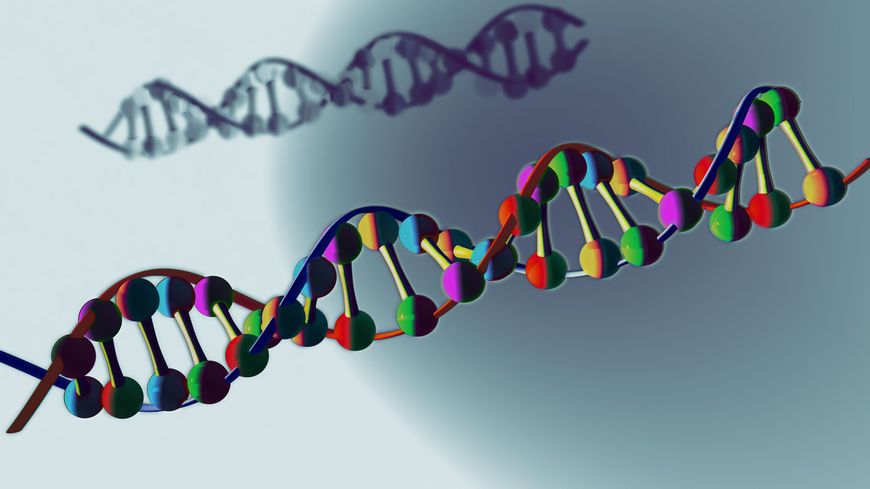 CRISPR Cas9 : la dernière folie de la génétique