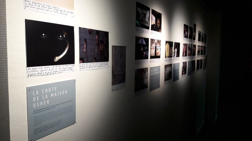 Exposition Loo Hui Phang / Festival d'Angoulême, 2017