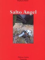 Salto Angel