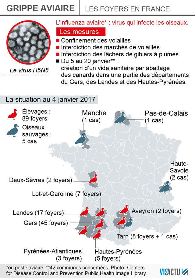 Grippe Aviaire : la situation au 4 janvier 2017