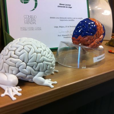 Cerveau