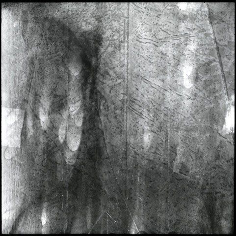 Chronoradiogramme sans titre , Namie, ferme Oshinawa, Fukushima Mai 2016. ( exposition entre 1,8 et 3,3 μSv/h)