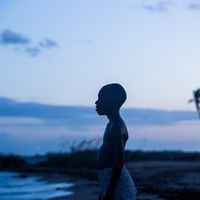 Moonloght de Barry Jenkins