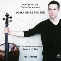 Concerto n°2 en si min op 104 B 191 : Adagio ma non troppo