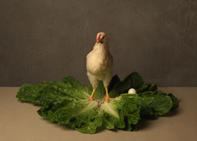 La salade Caesar