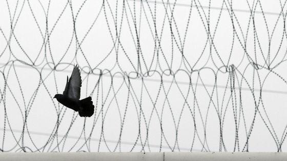 Fils barbelés de la prison centrale d'Ensisheim ©AFP - SEBASTIEN BOZON