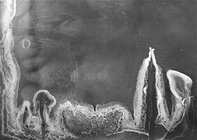 Chronoradiogramme, Iitate , zone de montagne, Fukushima, juillet 2012. ( exposition entre 7,3 et 10,8 à 15,5 μSv/h)