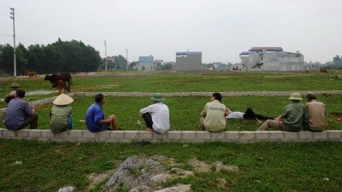 This picture taken on April 4, 2016 shows farmers chatting while looking after their cows on a former agricultural field turned residential project area at Thach That district in the suburds of Hanoi.