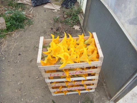 Quoi de plus beau que des produits cultivés avec passion de père en fils.