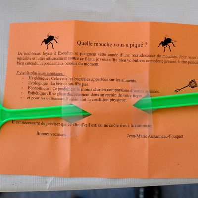 Mode d'emploi de la tapette