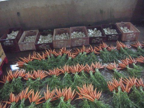 L'expression: "Le fruit du travail" n'est pas un vain mot.