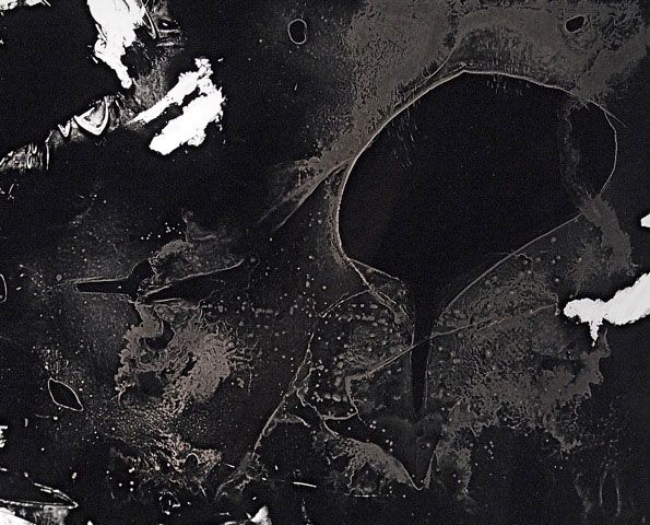Chronoradiogramme sans titre , Akaugi, Fukushima juillet 2012. ( exposition entre 17,8 et 31,5 μSv/h)
