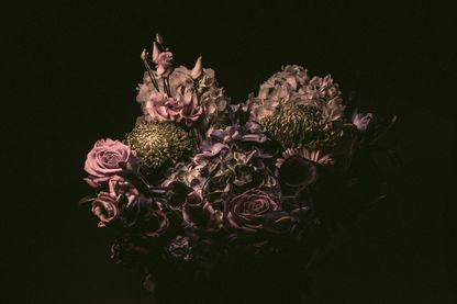 Les roses de la Saint-Valentin, dangereuses pour la santé ? Les roses de la Saint-Valentin, dangereuses pour la santé ?