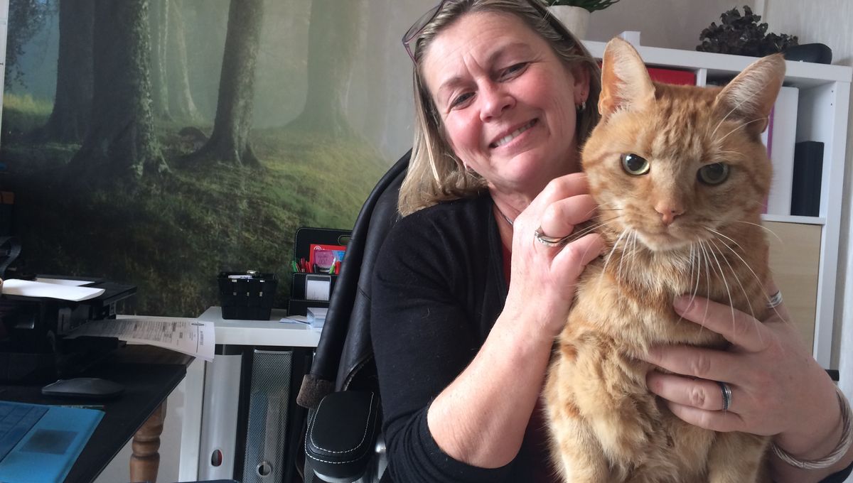 Camynoo Go Une Application Haut Garonnaise Pour Retrouver Son Chat Ou Chien Perdu En Un Clic