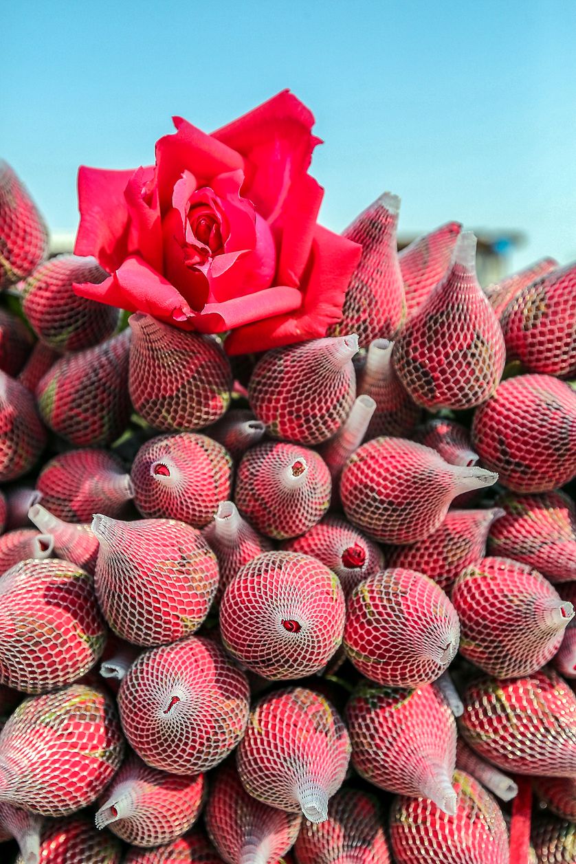 Chine, St Valentin