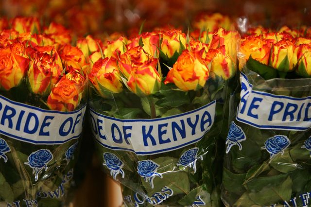 La plus grande vente de fleurs se prépare pour la Saint-Valentin