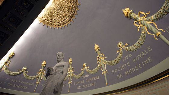 Statue d'Hippocrate à l'Académie Nationale de Médecine (Paris) ©AFP - Joel Saget
