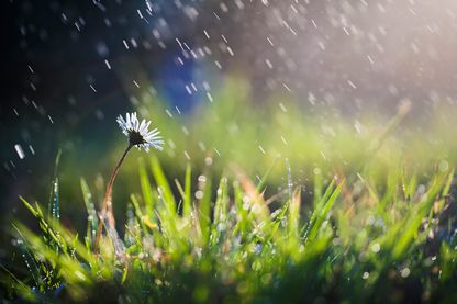 Dès qu'il fait un peu beau et que les températures remontent, on se dit ça y est c'est le printemps ! Dès qu'il fait un peu beau et que les températures remontent, on se dit ça y est c'est le printemps !