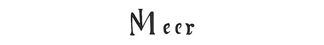 La signature de Vermeer