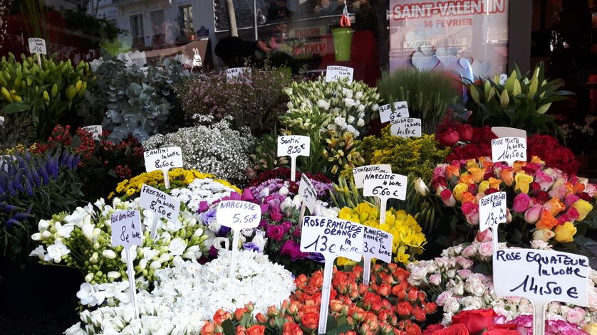 Fleuriste qui indique la provenant Equateur de ses roses, car dit-il "elles sont plus belles et donc plus chères que les autres"