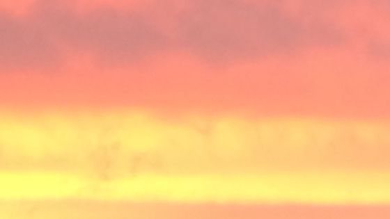 Rothko - Claire-Ingrid Cottanceau