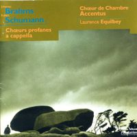 5 romances et ballades op 67 : 1. Der König von Thule
