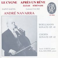 Le carnaval des animaux : Le cygne